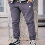 SPODNIE DRESOWE WOLF Szare