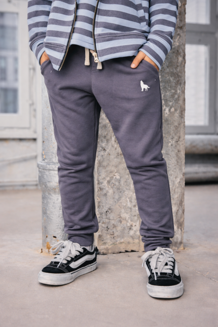 SPODNIE DRESOWE WOLF Szare